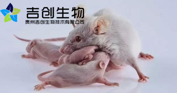 貴州細胞生物學實驗公司 貴州細胞生物學實驗公司