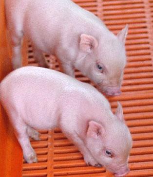 貴陽生物技術服務公司