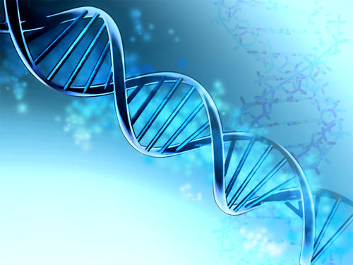 貴陽動(dòng)物細(xì)胞實(shí)驗(yàn)基地