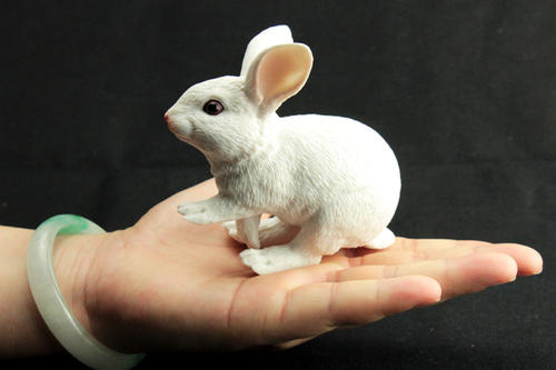 貴陽(yáng)原代細(xì)胞培養(yǎng)中心