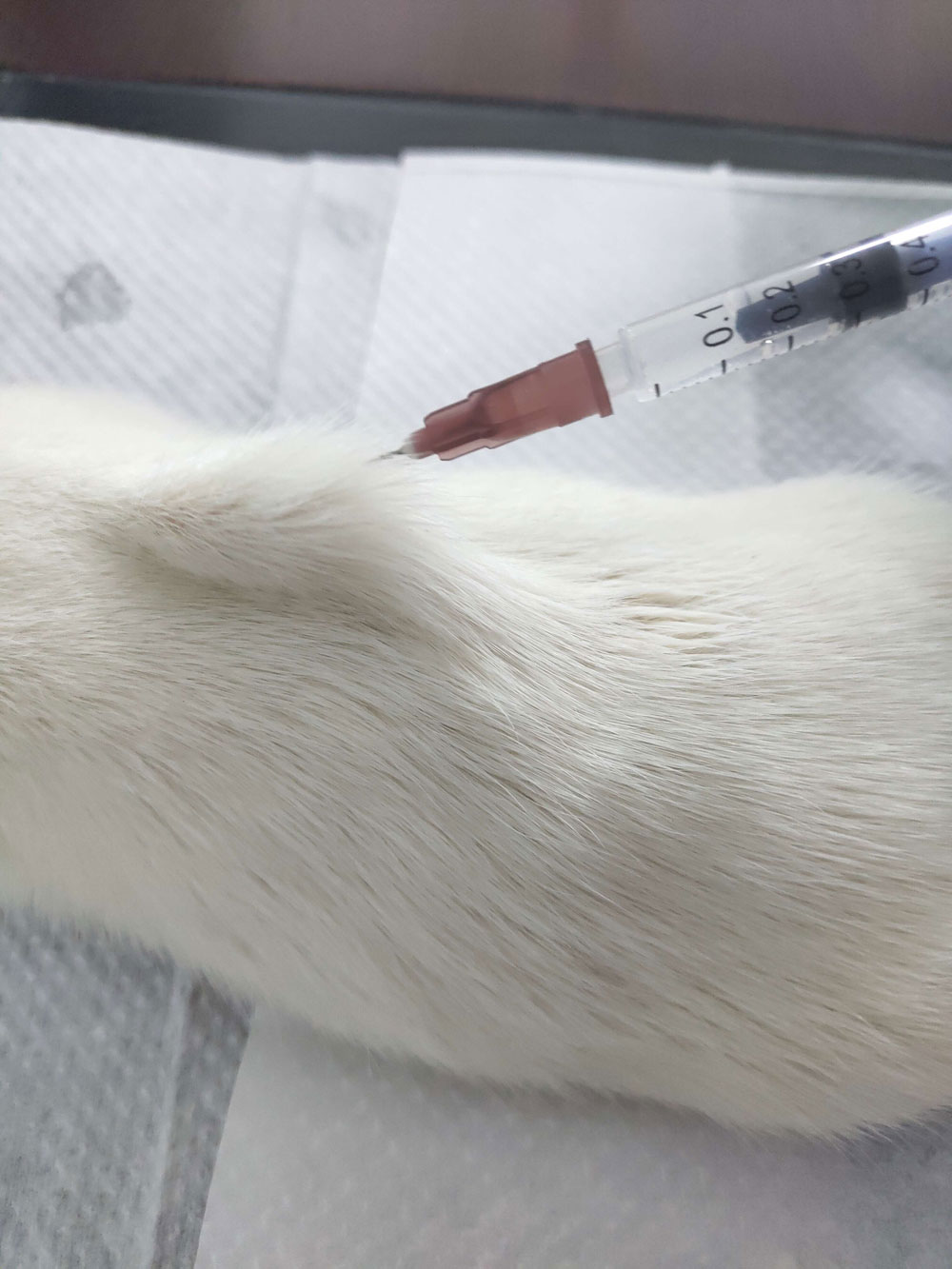 皮下注射 皮下注射